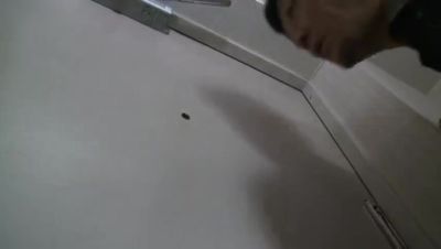 VFK001-UZXCSNICAN337213369 - hclips.com