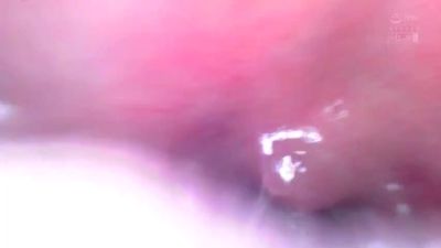 x1x884CAC2BE9FC4BC907 - hclips.com