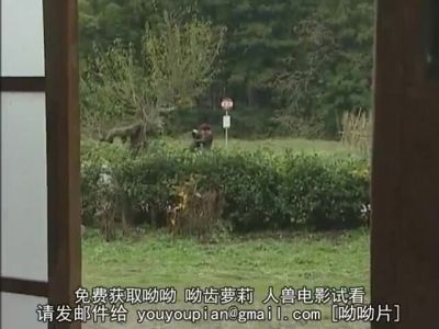 YVD164-NYEJDIXIAF915475981 - hclips.com