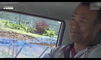 NZO355-ZSNFMQIRKL122595331 - hclips.com