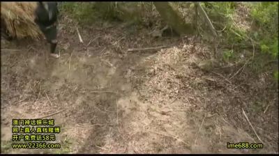 ITG697-TNNAJRPVLQ217500977 - hclips.com