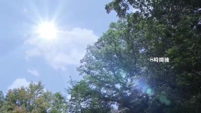 x2x06398DE0748660F632 - hclips.com