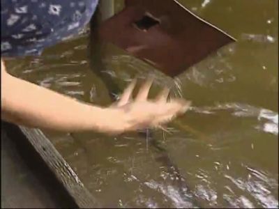 YAJ892-CRQFEMNQSW608091878 - hclips.com