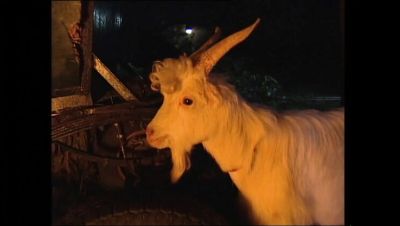 Naked Woman On Fire Vol.4 Full Movie - Claudia Jamsson, Karli Sweet, Backey Jakic Anal, Big Tits, Blowjob, HD Vintage - xxxfiles.com - Russia