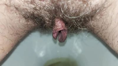 Hairy Housewife GinnaGg Pissing Close Up Toilet Pee Play - veryfreeporn.com - Russia