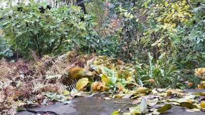 Mature Ukrainian MILF Pissing Doggystyle Outdoor - Hot Amateur Public Pee - porntry.com - Ukraine