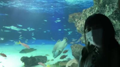 0011563_素人 かわいい 四つん這いなどが含まれている - hclips.com - Japan