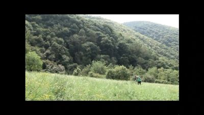 Big Boobs Fat Milf Fucking in Forest Pussy Outdoor - veryfreeporn.com - Italy