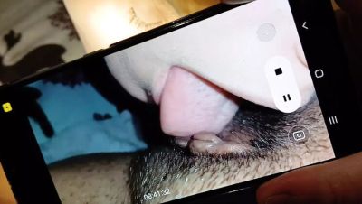 Lesbian Dorm Threesome: Nasty Fucking & Pussy Licking Orgasms - veryfreeporn.com