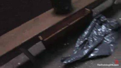 The Training Of Lilla Katt, Day Four - Kink - hotmovs.com