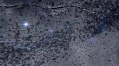 BBW Wants Big Dick - Bemefi - hotmovs.com