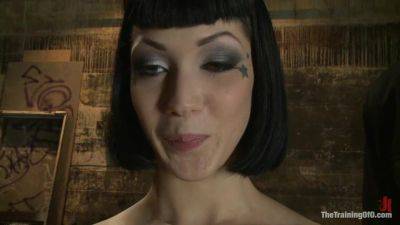 October Intake Three Doms Test Three Trainees - Kink - hotmovs.com