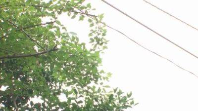 Hottest Japanese Girl In Crazy Jav Video - Yuuri Himeno - hotmovs.com - Japan