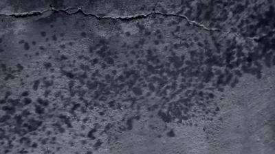 Big Ass Fucked by the Beach - Bemefi - hotmovs.com