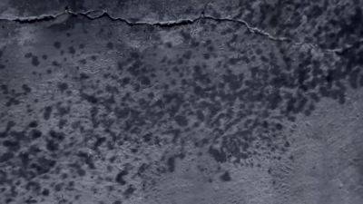 Big Tit Brunette Creampied - Bemefi - hotmovs.com