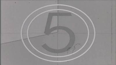 Hot Amber Angel Kneels And Fills Her Mouth With Massive Dick - hotmovs.com