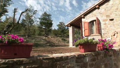 Renata Black & Franco Trentalance in Amore e Psiche 2 - Episode 5: Blowjob, Facial, and Big Cock Action - veryfreeporn.com