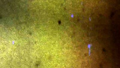 FEMOUT XXX Updates 24th Jan 25 - drtvid.com