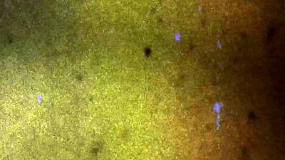 FEMOUT XXX Dynamite Dana - drtvid.com