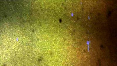 ASIANTGIRL Blondes Do It Better - drtvid.com