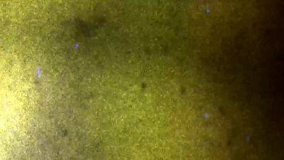 FEMOUT XXX Updates 31st Jan 25 - drtvid.com