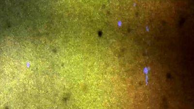 ASIANTGIRL Updates 31st Jan 25 - drtvid.com