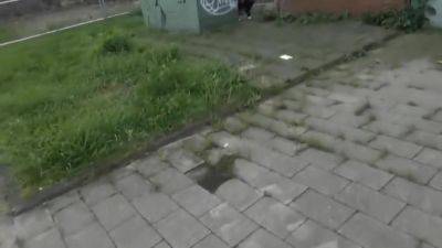 Caught A Blonde Pissing On The Street And Stuck My Dick In Her Mouth - hotmovs.com - Germany