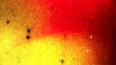 GROOBYGIRLS For Ever and Evelyn - drtvid.com