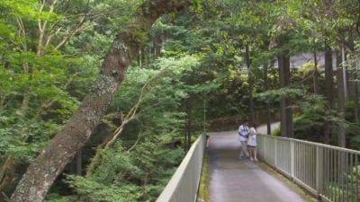 Hottest Porn Movie Newest Uncut - hotmovs.com - Japan