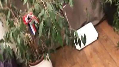 Sexy French MILF Love Crystale Gets Hardcore Anal Fuck by Young Stud - xxxfiles.com - France