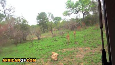 Bubble Butt Perfect Tits African Girlfriend Doggystyle Banging In Safari 11 Min With Steven Hard - hotmovs.com