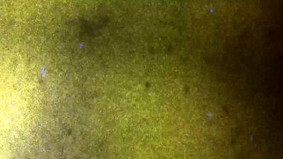 FEMOUT XXX The Alyx of Youth - drtvid.com