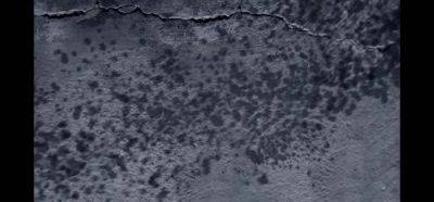 Ebony Boss Interviews BBC - Bemefi - hotmovs.com