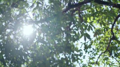 GSKKVVDACZVALEUAAU35SDNM479 - upornia.com