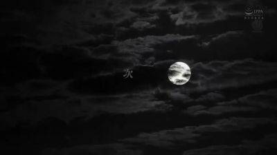 DZWOBLCKOSGINFRNYO35ROE208 - upornia.com