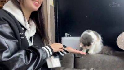 EKKCJWFYKAMZLWZDXKSTCV472 - upornia.com