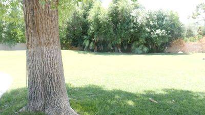 Jessie Saint and her BF take turns pounding each other's tight wet pussies in a wild ride - sexu.com