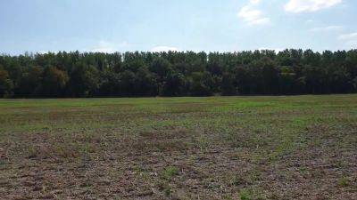 Dirty Dp & Threesome With Stranger At Cornfield! (Ger) - hclips.com