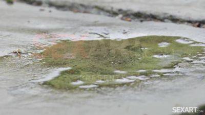 Date Night - Kama Oxi & Lorenzo Viota - hotmovs.com