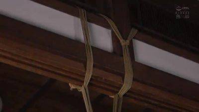 RSX985-JAMIAXUWNJ346014453 - upornia.com