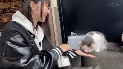 ZROFYMGBVOEHEBVVTGSTCV472 - hclips.com