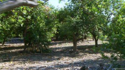 Kelly Madison - How To Blow Your Dragon - Starring: Kelly Madison - hotmovs.com