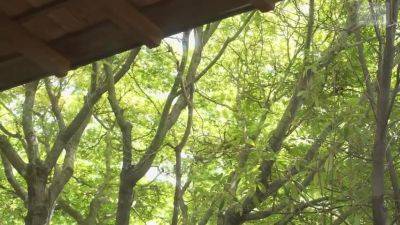 PTEHDABCTJUAUYLWES36NSFS312 - senzuri.tube