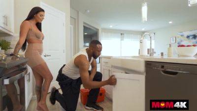 Plumber Drills Desiree Nevadas Leaky Pipes With His Bbc - videomanysex.com