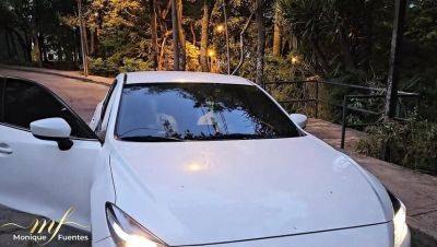 Monique Fuentes - Blonde MILF Monique Fuentes Fucks Stranger With Big Black Cock - Hardcore Interracial Sex - porntry.com