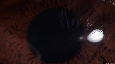 Brandi Love - CIRIS Part 2 - Starring: Brandi Love - PornFidelity - hotmovs.com