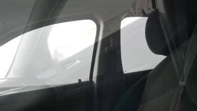 Black Porn Preview..Lady Queen The Chirstmas Grinch - hotmovs.com