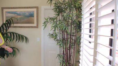 Kelly Madison - Miami Bitch - Starring: Kelly Madison - PornFidelity - hotmovs.com