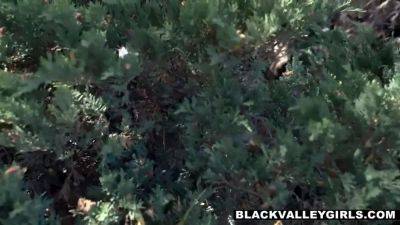 Ashley Aleigh - Ashley disrobes aleigh and takes hold of the boys cock providing him the best ebony babe head you have ever seen - sexu.com