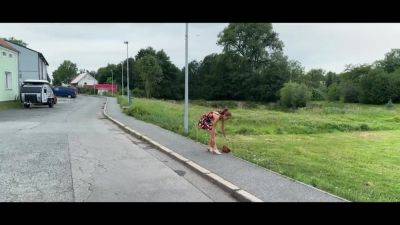 VIP4K. Pretty village girl was carrying some plums to her grandma and showed pussy to a stranger - hotmovs.com - Czech Republic